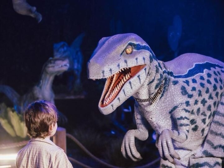 دينوس ألايف: التجربة الغامرة المعرض التفاعلي المخصص لعالم ما قبل التاريخ يصل إلى الدار البيضاء لأول مرة