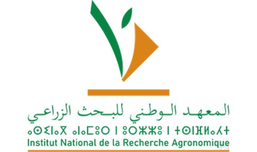 المعهد الوطني للبحث الزراعي يؤكد التزامه بدمج النوع الاجتماعي في منظومة الابتكار الزراعي